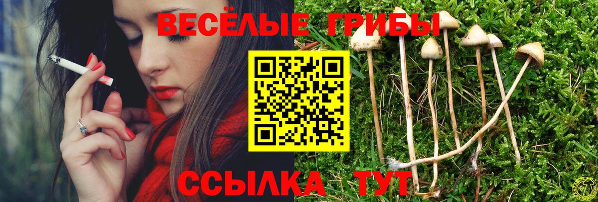 Галлюциногенные грибы Magic Shrooms Джанкой